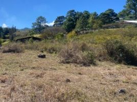  Land for sale in Francisco Morazan, Tatumbla, Francisco Morazan