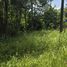  Land for sale in Mai Khao, Phuket, Mai Khao, Thalang
