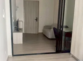 Studio Wohnung zu vermieten im Dcondo Reef Phuket, Kathu