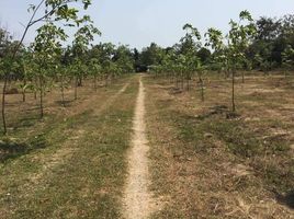  Land for sale in Don Yang, Mueang Phetchaburi, Don Yang