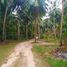  Land for sale in Ko Pha-Ngan, Surat Thani, Ban Tai, Ko Pha-Ngan