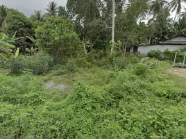  Land for sale in Splash Jungle Water Park, Mai Khao, Mai Khao