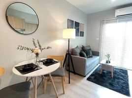 1 Bedroom Apartment for rent at Nue Noble Srinakarin - Lasalle, Samrong Nuea, Mueang Samut Prakan, Samut Prakan