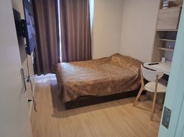 1 Schlafzimmer Wohnung zu vermieten im Mayfair Place Sukhumvit 64, Bang Chak, Phra Khanong, Bangkok