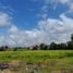  Land for sale in Ton Pao, San Kamphaeng, Ton Pao