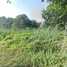  Land for sale in Thung Song Hong, Lak Si, Thung Song Hong