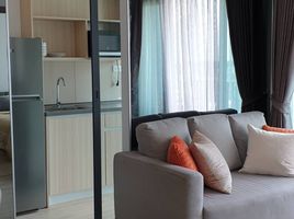 2 Bedroom Apartment for sale at Ideo O2, Bang Na, Bang Na, Bangkok, Thailand