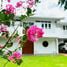 5 Bedroom House for rent in Mueang Chiang Mai Chiang Mai, Pa Daet, Mueang Chiang Mai, Chiang Mai