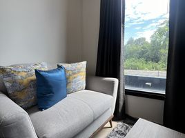 Studio Apartment for rent at THE BASE Central Phuket, Wichit, Phuket Town