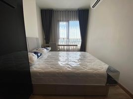 1 Bedroom Condo for rent at Niche Mono Sukhumvit - Bearing, Samrong Nuea, Mueang Samut Prakan