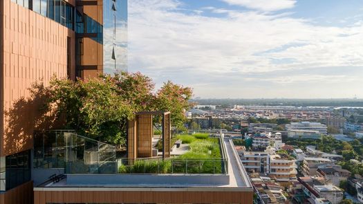 图片 1 of the Communal Garden Area at The Room Sukhumvit 38