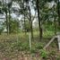  Land for sale in Mae Rim Chiang Mai, Mae Raem, Mae Rim, Chiang Mai