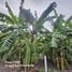 Land for sale in Lak Si Bangkok, Thung Song Hong, Lak Si, Bangkok