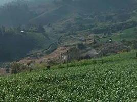 在夜丰颂出售的 土地, Mae Na Toeng, Pai, 夜丰颂