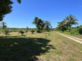  Grundstück zu verkaufen in Takua Pa, Phangnga, Khuek Khak, Takua Pa