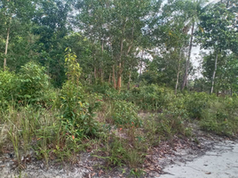  Grundstück zu verkaufen in Ko Pha-Ngan, Surat Thani, Ko Pha-Ngan