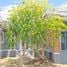2 Bedroom Villa for rent in Doi Saket Chiang Mai, Talat Khwan, Doi Saket