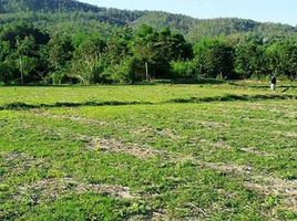  Land for sale in Chom Thong, Chiang Mai, Ban Luang, Chom Thong