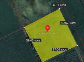  Land for sale in Rim Kok, Mueang Chiang Rai, Rim Kok