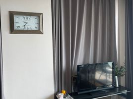 1 Schlafzimmer Appartement zu vermieten im Aequa Sukhumvit 49, Khlong Tan Nuea