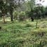  Grundstück zu verkaufen in Turrialba, Cartago, Turrialba, Cartago