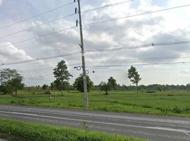  Grundstück zu verkaufen in Loeng Nok Tha, Yasothon, Khok Samran