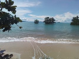  Land for sale in Phuket, Pa Khlok, Thalang, Phuket