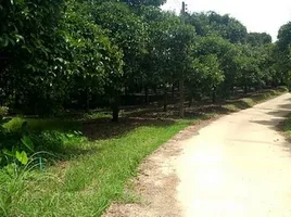  Land for sale in Ranong, Bang Kaeo, La-Un, Ranong
