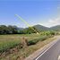  Land for sale in Nan, Thung Chang, Thung Chang, Nan