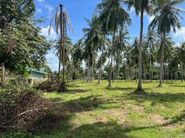  Land for sale in Samui Paragon, Na Mueang, Na Mueang