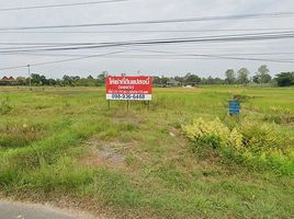  Land for sale in Bung Wai, Warin Chamrap, Bung Wai