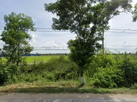 ขายที่ดิน ใน ไชโย อ่างทอง, ไชโย, ไชโย, อ่างทอง