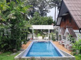 5 Schlafzimmer Villa zu vermieten in Chiang Mai, Yang Noeng, Saraphi, Chiang Mai