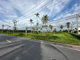  Grundstück zu verkaufen in Takua Thung, Phangnga, Khok Kloi