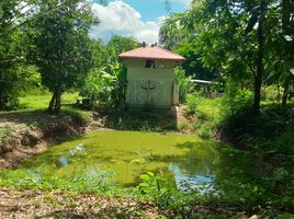  Grundstück zu verkaufen in Hang Chat, Lampang, Wo Kaeo