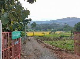  Grundstück zu verkaufen in Mae Taeng, Chiang Mai, Ban Chang