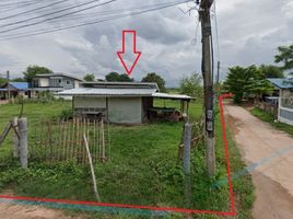  Land for sale in Nakhon Ratchasima, Kut Noi, Sikhio, Nakhon Ratchasima