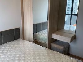 2 Schlafzimmer Wohnung zu vermieten im Ideo O2, Bang Na, Bang Na, Bangkok, Thailand