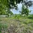  Land for sale in Phu Doi Market, Nong Chom, Nong Chom