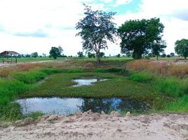  Grundstück zu verkaufen in Doem Bang Nang Buat, Suphan Buri, Bo Kru, Doem Bang Nang Buat