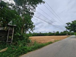  Land for sale in Ban Amphur Beach, Na Chom Thian, Na Chom Thian