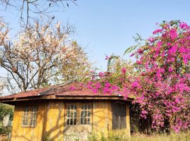  Grundstück zu verkaufen in Mueang Phrae, Phrae, Cho Hae, Mueang Phrae