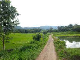 在Ban Chang, 湄登出售的 土地, Ban Chang