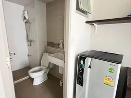 1 Schlafzimmer Appartement zu vermieten im D Condo Creek, Kathu, Kathu