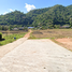  Grundstück zu verkaufen in Kuet Chang, Chiang Mai, Kuet Chang, Mae Taeng, Chiang Mai