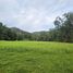  Land for sale in Thalang, Phuket, Thep Krasattri