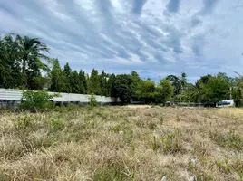  Land for sale in Surat Thani, Maenam, Koh Samui, Surat Thani