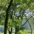  Land for sale in Argentina, Anta, Salta, Argentina