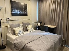 1 Schlafzimmer Appartement zu vermieten im KnightsBridge Collage Sukhumvit 107, Bang Na