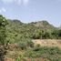  Land for sale in Tha Sao, Sai Yok, Tha Sao